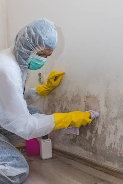 Best Residential Mold Inspection & Testing  in Tokeneke, CT