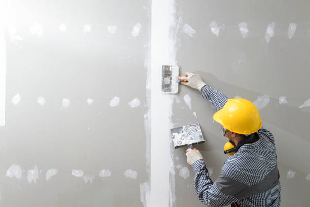 Best Basement Mold Removal  in Tokeneke, CT