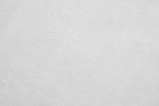 Mold Remediation for Rental Properties